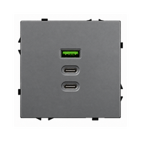Greito krovimo USB rozetė su A+C+C jungtimis Feelspot FSACC65G, 65 W, pilka