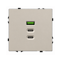 Greito krovimo USB rozetė su A+C+C jungtimis Feelspot FSACC65CA, 65 W, kašmyro