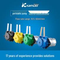 12V/24V Mini Self-Priming Peristaltic Water Pump NKP-DC-S10B (Bestseller)