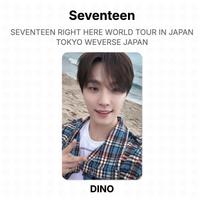 Seventeen RIGHT HERE WORLD TOUR IN JAPAN TOKYO WEVERSE JAPAN Official Photocard DINO gray