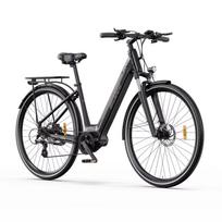 Elektrinis dviratis OT07 250W Bafang vidutinio variklio 36V10.4AH ličio baterija Suaugusiųjų elektrinis dviratis Hidraulinis stabdys Ebike