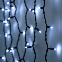 Lempučių užuolaida (šaltai baltos LED lemputės) PROLED IP67 2x2 m
