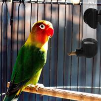 220Ml Bird Water Dispenser Automatic Parrot Water Feeder - Transparent Level View Chew Resistant Copper Nozzle Cage Mount gray