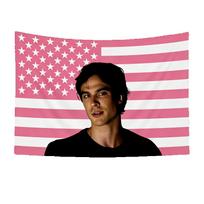 1pc Damon Salvatore Backdrop Tapestry Pink American Design Suitable For Bedroom Home Space for Solitude And Party Gift For Fans 74x94cm(29x37in) pink