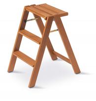Ladder