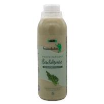 Mėmelio fermentuotas BACTOHOUSE spirulinų skonio 1000 ml.