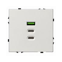 Greito krovimo USB rozetė su A+C+C jungtimis Feelspot FSACC65W, 65 W, balta