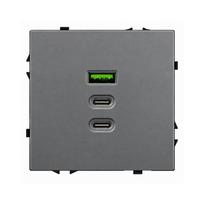 Greito krovimo USB rozetė su A+C+C jungtimis Feelspot FSACC65G, 65 W, pilka