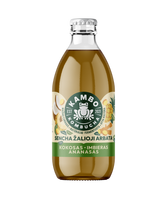 Kombuča KAMBO KOMBUCHA, su ananasais, kokosais ir imbieru, 0,33 l