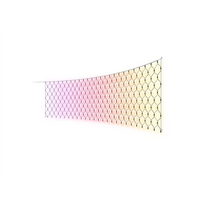 Philips Hue Festavia Net Lighting, 1 x 3.5 m, 250 LEDs, EU | White and color | Bluetooth, Zigbee|8721103180070