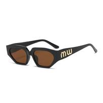Outdoor Small Frame Cat Eye Sunglasses Women Men Lovely Geometric Sun Glasses Mirror Black Colors Designer Brand Fashion Other gray