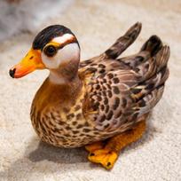 1PC 25CM Real Life Colorful Printing Mandarin Duck Plush Toys Stuffed Soft Animal Doll Lovebirds Decoration Birthday Gift 25cm ruda