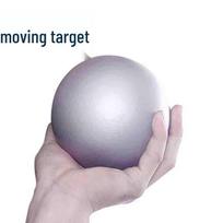 Dongbiao Solid Shot Put Ball white