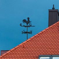 Vėjarodžio ornamentas Lauko scena Geležinis gyvūnas Vėjarodis Vėjo krypties indikatorius kiemui, black