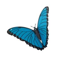 3D Spausdintas Drugelis Šaldytuvo Magnetukas Pasidaryk Pats Namų Virtuvės Spintelė Šaldytuvas Monarchas Tigrinis Uodeguotis Mėlynasis Drugelis Magnetinis Dekoravimo Ornamentas B blue
