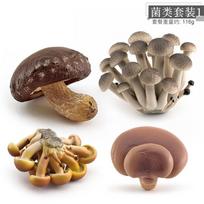 Highly Realistic Mushroom Display Set With Shiitake Enoki Matsutake And Vibrant Poisonous Umbrellas Ideal For Home Or Office Decoration Set 1 116g brown
