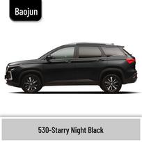 Baojun 310/310W Touch-up Paint Pen: Complete Car Scratch Repair Set Single touch-up pen + Repair tools gray