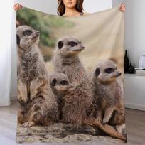 Surikatų šeima Mesti pledas Jaukus pledas Gimtadienio dovana Jam Jai 102x76cm(40x30in) gray
