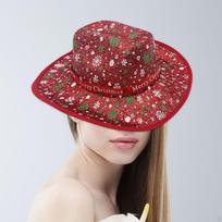 Christmas Cowboy Hat Hats for Carnival Holiday Role Play Red brown
