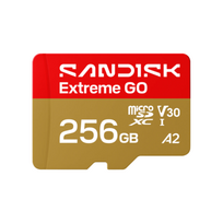 SanDisk Extreme GO microSDXC Atminties kortelė 256GB UHS-I | SDSQXGN-256G-GN6MN