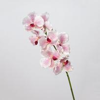 80 CM Dirbtinė Vanda Orchidėja Plastikinės Realiai Liečiamų Orchidėjų Phalaenopsis Šakelė Stalo Dekoras Style 15 white