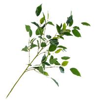 Silk Leaves Artificial Ficus Branch Foliage Arrangement Home Decor Faux Green Plant Decor Realistic Leaves Photography Prop žalia
