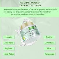Aloe Cucumber Gel with Pure Aloe Vera, Cucumber & Vitamin A,C,E for Face & Hair - Exfoliates Skin, Acne Scars, Wrinkles, Sunburn, Dark Circles & Moi beige