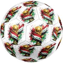 World Cup Trophy Celebration Size 5 Soccer Ball Machine Sewn Indoor/Outdoor Training and Matches Unique Gift for Soccer Lovers zq gray