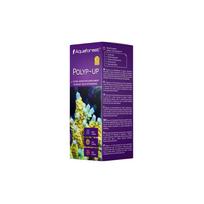 Fauna Marin Phyto C Fitoplanktonas
