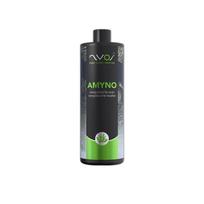 Fauna Marin Phyto C Fitoplanktonas