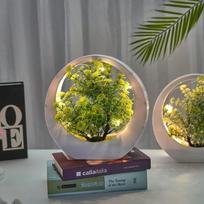 LED dirbtinis bonsai medis, modernus namų biuro dekoras, šilta naktinė lemputė, šventinė dovana, puikiai tinka įvairioms progoms as picture gray