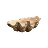 Kriauklių Padėklas Pakrantės Meninė Dekoratyvinė Dubenėlė Tualetiniam Staliukui, Kavos Stalui, Prieškambario Konsolė Moliuskas Simulated Clam Tray beige