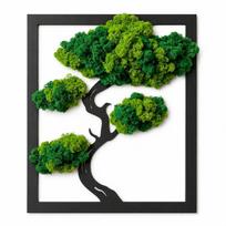 Rectangular bonsai tree with moss