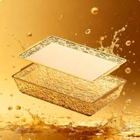 Ice Chilled Serving Tray with Lid Easy to Clean Rectangular Food Chiller Platter ShatterResistant Amber Gold beige