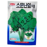 Native Leaf Burdock Seeds 5g. Famous domestic burdock seeds where both the roots and leaves are edible. Native Ubong Seed Gyeongsin 1 pcs green