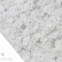20/40g Dirbtiniai Žali Augalai Amžinojo Gyvenimo Samanos Žolė Namų Svetainės Sodo Dekoracija Mini Peizažas Dirbtinės Gėlės DIY Amatai 20gram white