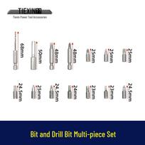 Multi-Piece Drill & Screwdriver Bits Set: Phillips, Flat Head, Extended Socket, Hex - Model 05443 gray