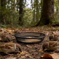 Bird Feeder Tray Food Feeding Plate 17.516.33.3cm Rust-Resistant Metal Finch Feeders For Sparrow Lovebird Garden Park Courtyard China Mainland brown