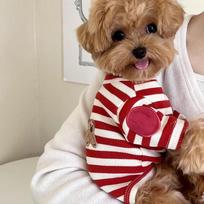 Dog Vest for Small Dogs Pet Dog Clothes Summer Cooling T Shirts Cotton Heart Striped Dog Undershirts Cats Chihuahua Thin Hoodies S brown