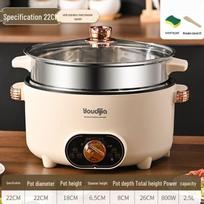 Compact Multi-Function Electric Cooker: Rice, Noodles, Steam, and More