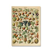 Senovinis vaisių, daržovių, pupelių lentelės sienos meno plakatas virtuvei 60cm×90cm NoFrame