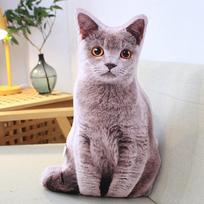 Animacinis korgis ir šar pei šuo katė pliušinė pagalvė lėlė - jaukus sofos palydovas As shown gray