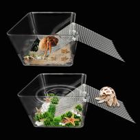 2 Packs Hermit Crab Pool - Ideal Hermit Crab Tank Combination - Pool with Cuttable Climbing Ramp Small*2 gray