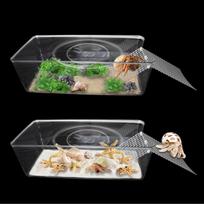 2 Packs Hermit Crab Pool - Ideal Hermit Crab Tank Combination - Pool with Cuttable Climbing Ramp Large*2