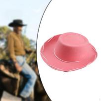 Cowboy Hat with Hats Outdoor Costume Fedoras , 33cmx30cmx7cm pink
