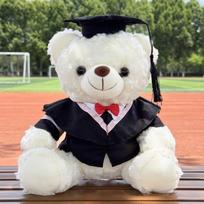 Graduation Teddy Bear Plush Toy Soft Stuffed Bear With Graduation Cap And Gown For Students Keepsake Gift Two Colors Available 22cm white