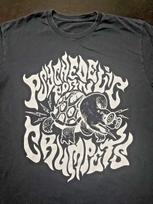 Psychedelic Porn Crumpets T-Shirt, Black, No Tag - Fits: S/M Unisex T-Shirt M gray