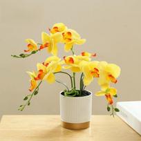 Phalaenopsis gėlė Šilkinė drugelio orchidėja Kambarinis augalas Dirbtinė Phalaenopsis Nauja bonsų orchidėja geltona