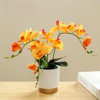 Phalaenopsis gėlė Šilkinė drugelio orchidėja Kambarinis augalas Dirbtinė Phalaenopsis Nauja bonsų orchidėja oranžinė