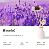 Lavender Flameless Aroma Diffuser Set with Customizable Rattan and Ceramic Design levanda